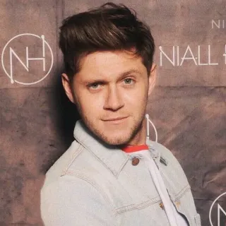 😏 Niall Horan NIALL H Niall Horan, singer, celebrity, musician, One Direction telegram sticker