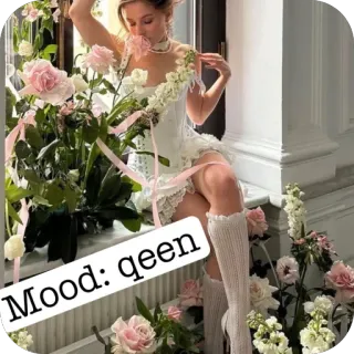 🥰 Mood: qeen flores, menina, humor, rainha, rosa, rosas telegram sticker