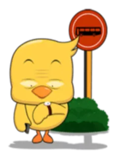 🚌 dibujos animados, pollo, esperando, reloj, parada de autobús, animal whatsapp sticker