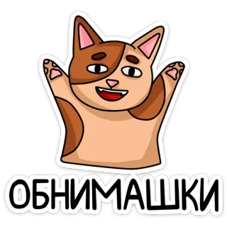 🤗 ОБНИМАШКИ кот, милый, русский, объятие, мультфильм, каваи, стикер whatsapp sticker