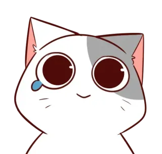😸 แมว, สติกเกอร์, น่ารัก, สัตว์, เศร้า, ร้องไห้ whatsapp sticker