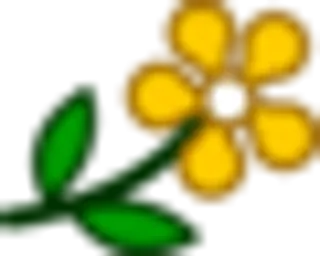🥀 flower, yellow, nature, plant whatsapp sticker