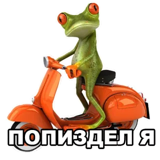 🚗 ПОПИЗДЕЛ Я лягушка, самокат, животное, мем, смешной telegram sticker