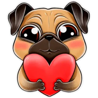 ❤️ perro, carlino, corazón, amor, lindo, animal, dibujos animados telegram sticker
