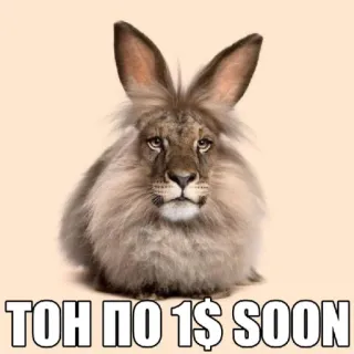 🤩 TOH NO 1$ SOON animal, bunny, lion, rabbit, meme, fantasy, hybrid telegram sticker