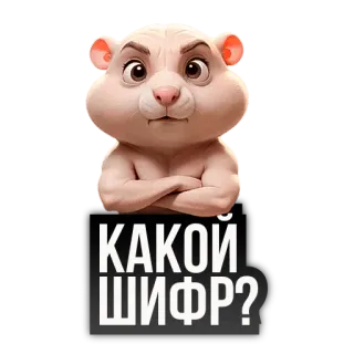 🐹 КАКОЙ ШИФР? 仓鼠, 问题, 俄语, 可爱, 搞笑, 表情 whatsapp sticker