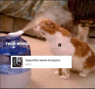 😕 твой игнор cat, humidifier, ignore, russian, pet telegram sticker