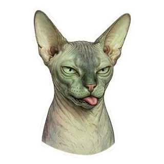 🤢 Sphynx cat telegram sticker