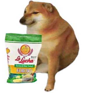 🐶 La Lucha Harina de Maíz Tostado FORORO Doge, หมา, มีม, อาหาร, แป้งข้าวโพด whatsapp sticker