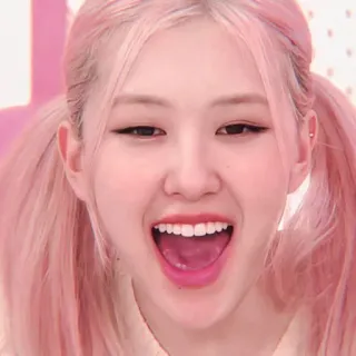 🧸 kpop, rose, chanteuse, idole, mignon, fille, cheveux roses telegram sticker