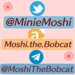😎 @MinieMoshi Moshi.the.Bobcat @MoshiTheBobcat social media, username, Moshi, Bobcat, MinieMoshi, Telegram, Twitter telegram sticker