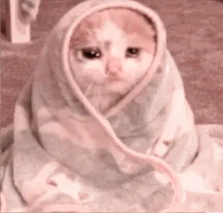 🐈 Katze, traurig, Handtuch, süß, Tier, Kätzchen whatsapp sticker