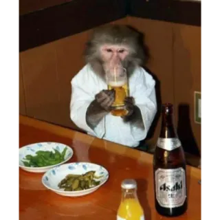🧃 scimmia, birra, alcol, animale, bere, bar whatsapp sticker