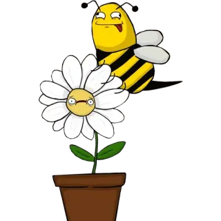 😙 蜜蜂, 花, 卡通, 幽默, 昆虫, 雏菊, 花盆 whatsapp sticker