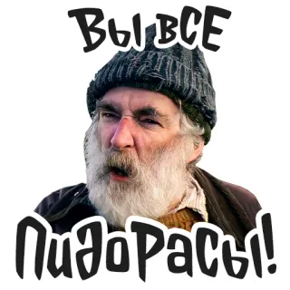 🤬 ВЫ ВСЕ Пидорасы! offensant, insulte, discours haineux, russe, en colère telegram sticker
