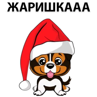 ☀ ЖАРИШКААА dog, christmas, santa hat, cute, cartoon, pet telegram sticker