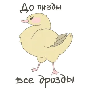 Angry but cutie telegram stickers