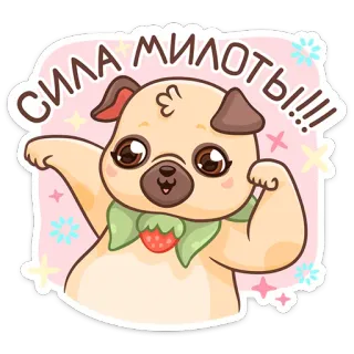 ☺️ СИЛА МИЛОТЫ!!! 강아지, 귀여운, 퍼그, 힘, 카와이 telegram sticker