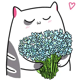 💐 แมว, ดอกไม้, น่ารัก, สัตว์, ช่อดอกไม้, การ์ตูน, สติกเกอร์ telegram sticker
