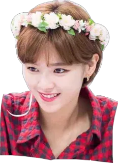 🌸 donna, k-pop, coreano, corona di fiori, sorriso, bella telegram sticker