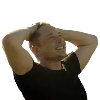 😍 Elon Musk retrato, celebridade, negócios, tesla, empreendedor telegram sticker