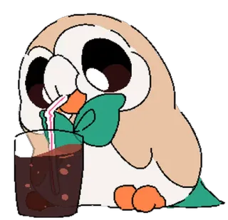 🍹 Rowlet Pokémon, Brindibou, hibou, boisson, mignon telegram sticker