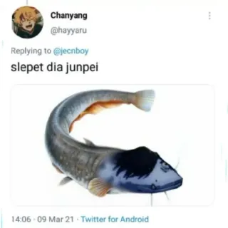 🫂 Junpei slepet dia junpei ปลา, มีม, slepet, จุนเป telegram sticker