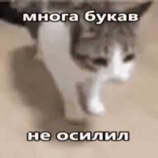 🔤 много букв
не осилил chat, russe, texte, humour, mème whatsapp sticker