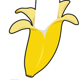 Longcat whatsapp stickers