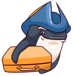 😏 orca, whale, pirate, suitcase, travel, cartoon telegram sticker