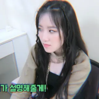 🐰 가 설명해줄게! person, woman, korean, girl, face telegram sticker