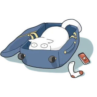 💼 CAT gato, mala, animal, animal de estimação, desenho animado whatsapp sticker