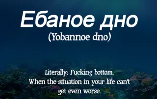 👇 Ебаное дно
(Yobannoe dno)
Literally: Fucking bottom.
When the situation in your life can't
get even worse. russo, frase, offensivo, fondo telegram sticker