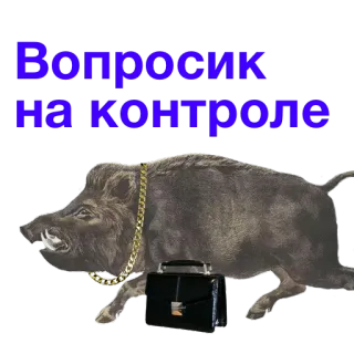 🤜 Вопросик на контроле jabalí, animal, pregunta, maletín, cadena telegram sticker