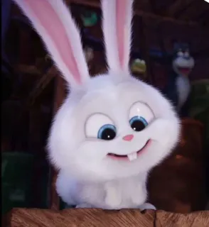 🐰 Snowball The Secret Life of Pets conejo, lindo, animal, mascota, blanco whatsapp sticker