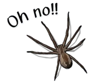 😮 Oh no!! spider, insect, arachnid, scary, danger telegram sticker