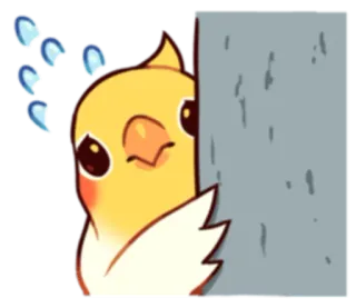 😰 น่ารัก, นกแก้ว, นก, คาวาอิ, สัตว์เลี้ยง, สัตว์ telegram sticker