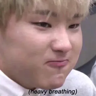 🌬 heavy breathing face, expression, meme, sweat, heavy breathing, funny, emotion telegram sticker