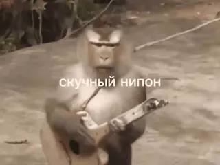 😞 скучный нипон monkey, guitar, animal, bored, playing, meme telegram sticker