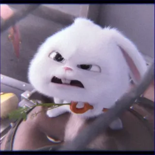 😤 Snowball The Secret Life of Pets cartoon, bunny, angry, white, animal, pet, character whatsapp sticker