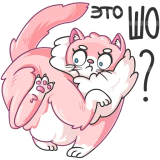 🧐 кот, розовый, мультфильм, животное, милый, наклейка whatsapp sticker