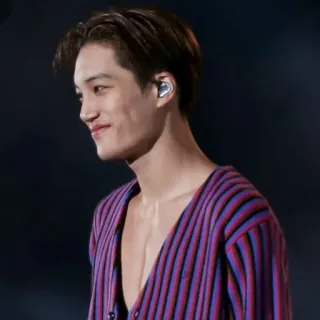 🌓 Kai kpop, exo, idol, chanteur, artiste, musique, beau, homme telegram sticker