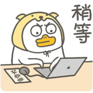 🙇‍♀️ 稍等 утка, ноутбук, ожидание, мультфильм, милый, животное whatsapp sticker