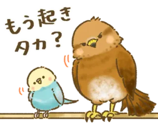 🦜 もう起きタカ? pássaros, fofo, animais, sonolento, texto, japonês telegram sticker