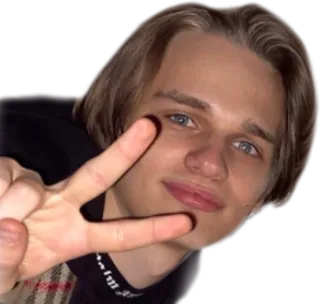 ✌ telegram sticker