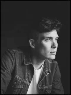 ◾ Cillian Murphy actor, retrato, blanco y negro, hombre, película, celebridad telegram sticker