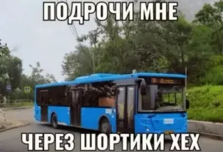 🩳 ПОДРОЧИ МНЕ
ЧЕРЕЗ ШОРТИКИ ХЕХ whatsapp sticker