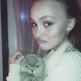 💋 chat, femme, portrait, personne, animal, animal de compagnie, mignon whatsapp sticker