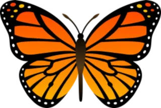 🐝 butterfly, insect, nature, orange, monarch whatsapp sticker