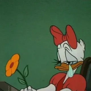 😢 Daisy Duck การ์ตูน, ดิสนีย์, เศร้า, ร้องไห้, ดอกไม้, เดซี่ ดั๊ก, ภาพเคลื่อนไหว telegram sticker
